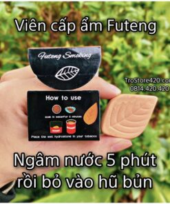 VIÊN CÂN BẰNG ẨM FUTENG