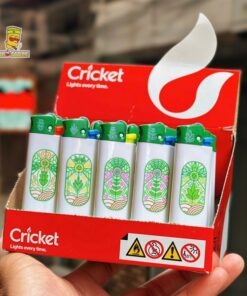 BẬT LỬA CRICKET