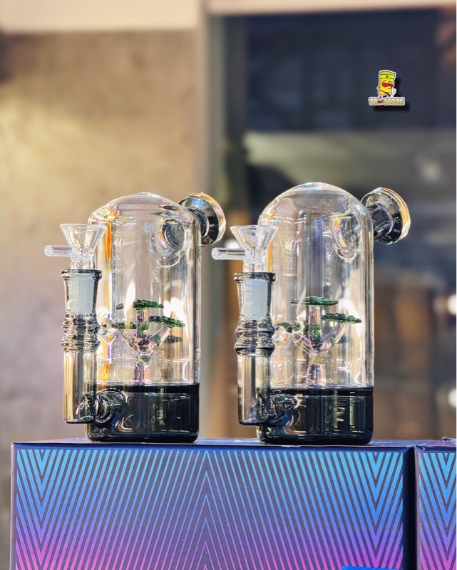 dieu-mini-bonsai-glass-19cm